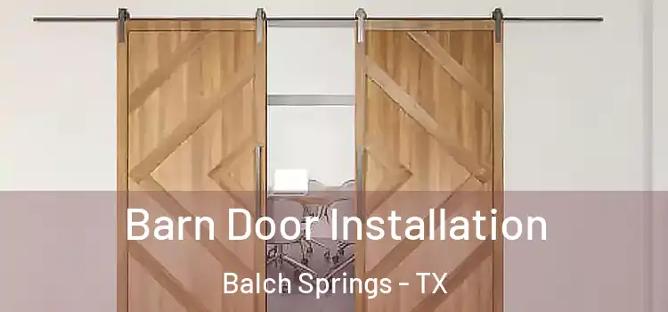 Barn Door Installation Balch Springs - TX