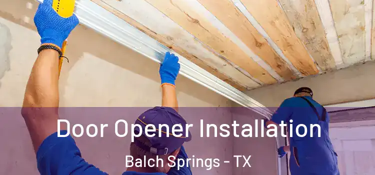  Door Opener Installation Balch Springs - TX