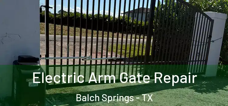 Electric Arm Gate Repair Balch Springs - TX