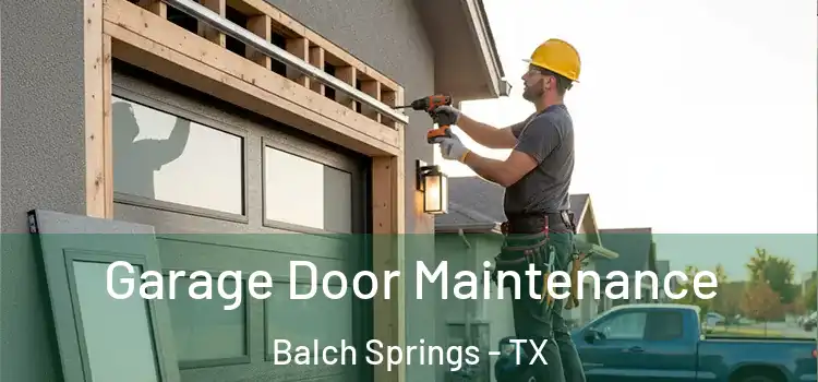  Garage Door Maintenance Balch Springs - TX