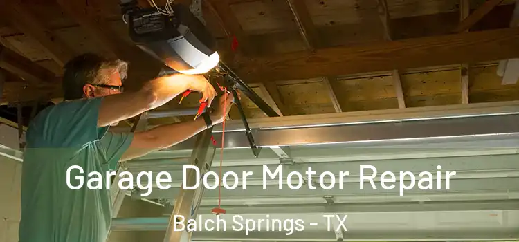  Garage Door Motor Repair Balch Springs - TX