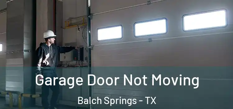  Garage Door Not Moving Balch Springs - TX