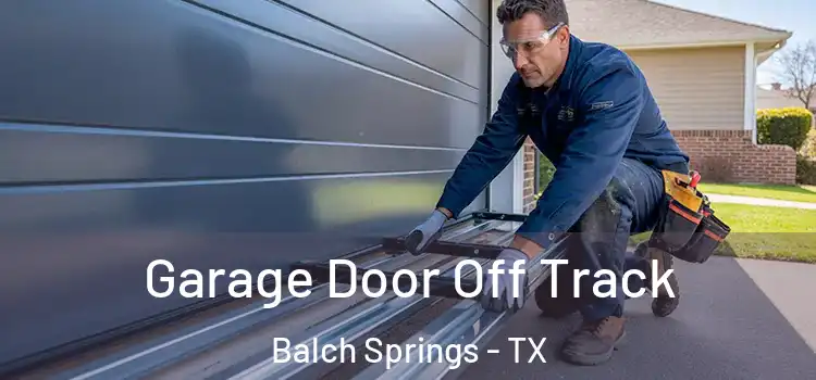  Garage Door Off Track Balch Springs - TX
