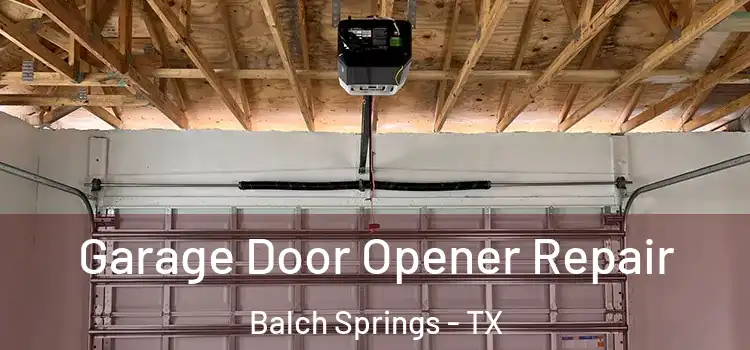 Garage Door Opener Repair Balch Springs - TX