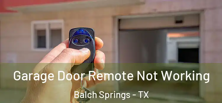  Garage Door Remote Not Working Balch Springs - TX