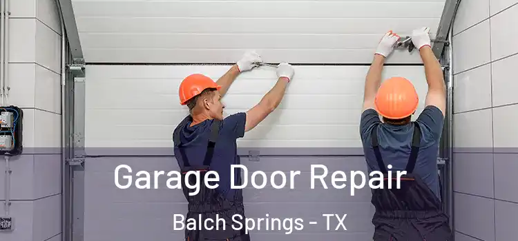  Garage Door Repair Balch Springs - TX