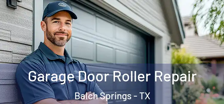  Garage Door Roller Repair Balch Springs - TX