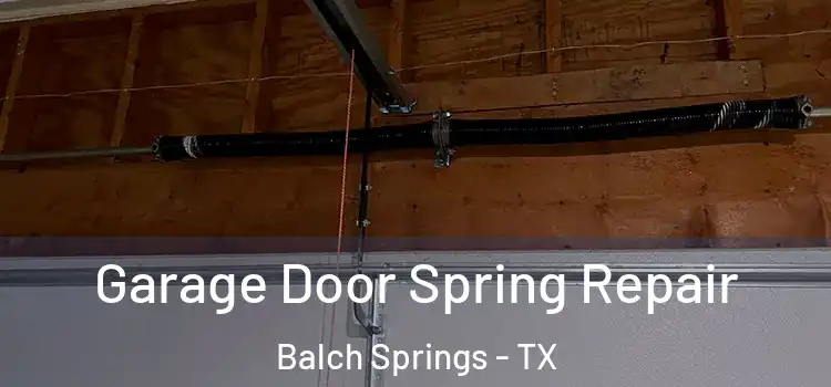 Garage Door Spring Repair Balch Springs - TX