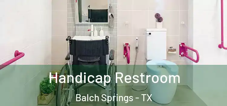 Handicap Restroom Balch Springs - TX