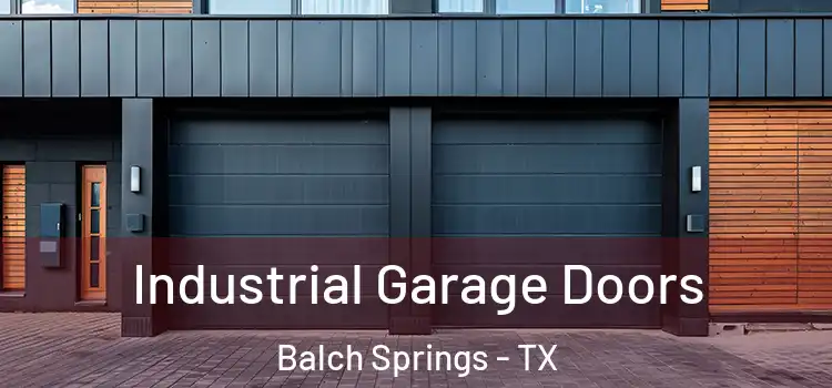  Industrial Garage Doors Balch Springs - TX