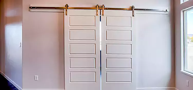 Glass Barn Door with Installation Hardware Kit Balch Springs