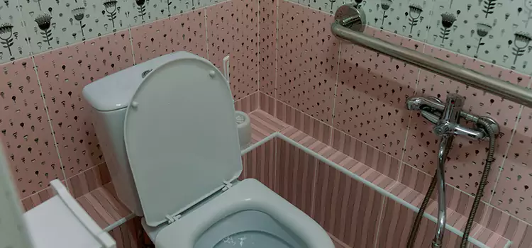 Meeting Diverse Needs With Accessible Restroom Solutions in Balch Springs, TX