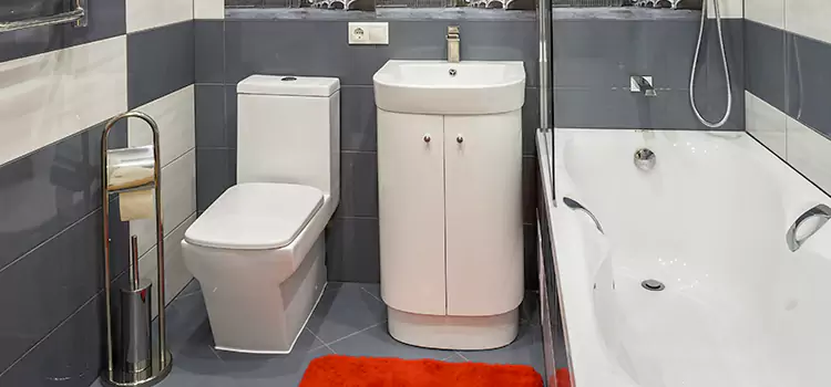 Hansgrohe Shaving Mirror Balch Springs