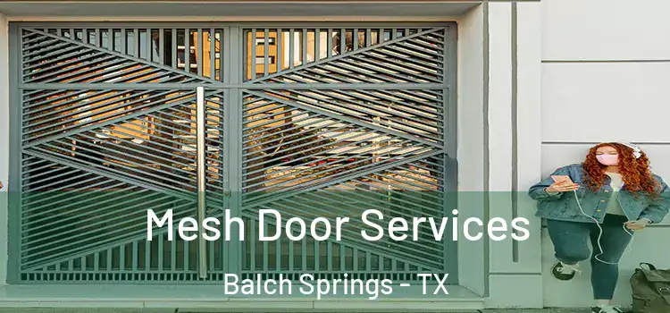 Mesh Door Services Balch Springs - TX