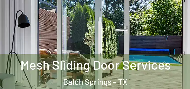 Mesh Sliding Door Services Balch Springs - TX